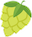 houblon
