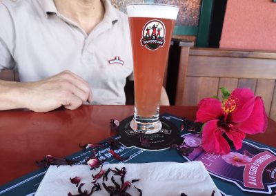 HIBISCUS SAINT PIERRE