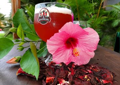 HIBISCUS SAINTE MARIE